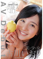 ファイル 179-1.jpg