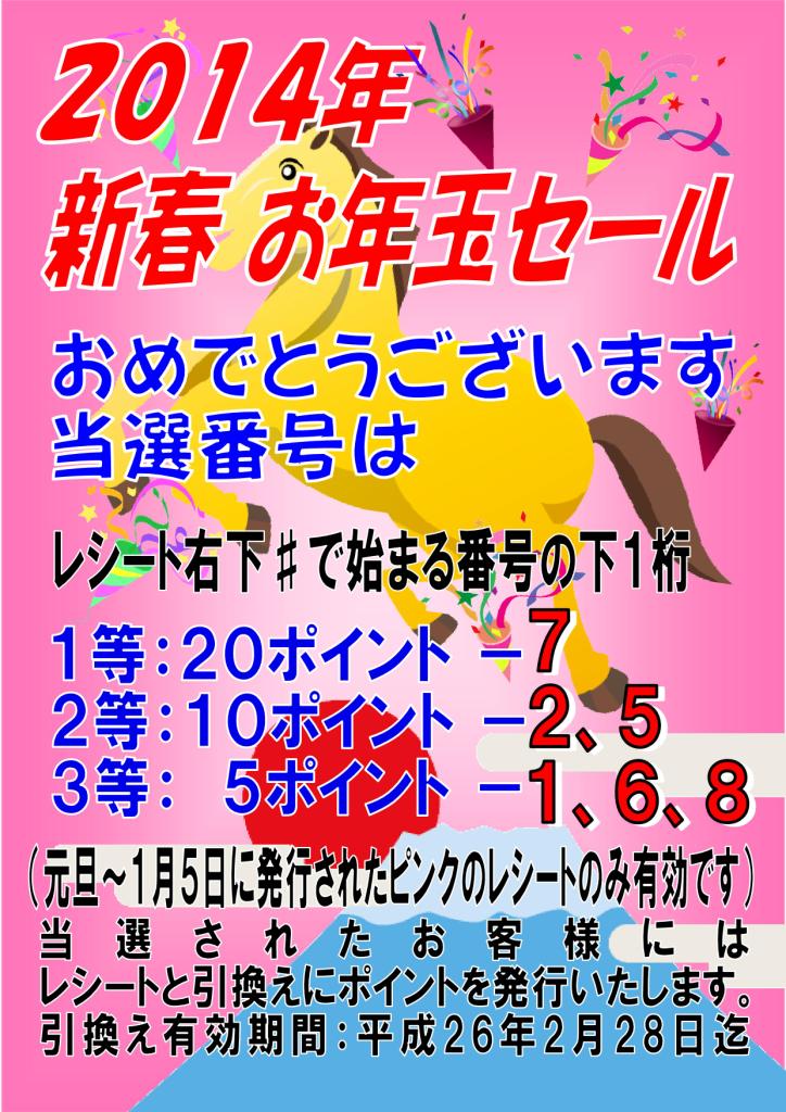 255-1.jpg